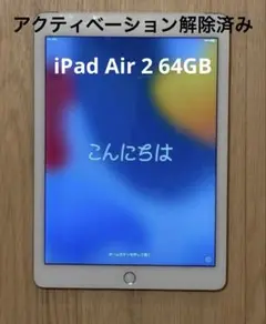 iPad Air 2 Wi-Fi+Cellular 64GB MGHY2J/A
