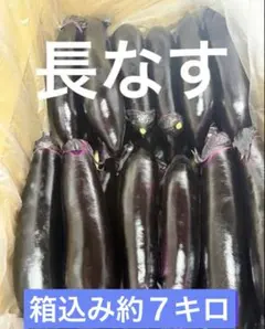 訳あり 長なす 箱込み約14キロ - メルカリ