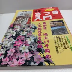 Item thumbnail for item 971c319d-7f46-482e-9cd2-f44bee68053d