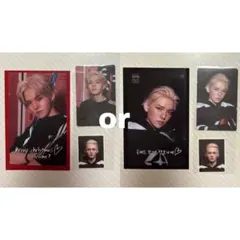 treasure ヨシ シーグリ2025