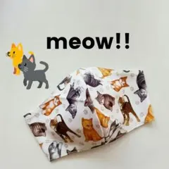 Item thumbnail for item 642f521f-0d46-4c6a-9dd9-a0cd59a4488b