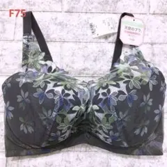 天使のブラスリムライン極上ライト　F75ブラジャー　トリンプ