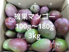 沖縄 】摘果マンゴー 特大200g 〜 380g 約3.6kg (箱込み) - メルカリ