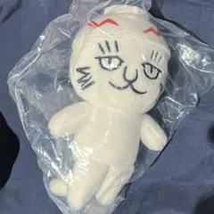 石黒亜矢子　コネコズ　ヨウちゃん