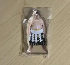 横綱 豊昇龍 フィギュア 番付表付き 横綱 豊昇龍 フィギュア 番付表付き - メルカリ