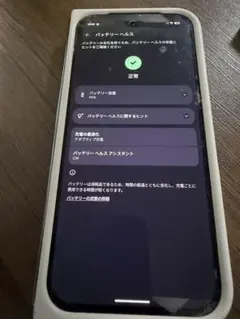 Google Pixel 9 Pro Fold 本体