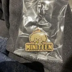 最安価　セブチ　ガチャMINITEEN めじるしアクセサリー　DOA ドギョム