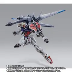 METAL BUILD I.W.S.P. メタルビルドのサムネイル