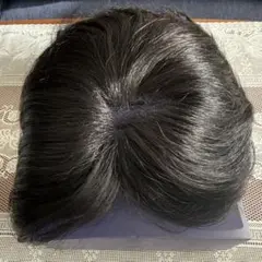 2026年最新】部分ウィッグ アデランス、フォンテーヌの人気アイテム