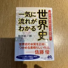 世界史 一気に流れがわかる