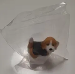 おしりを見せてくれる犬 ビーグル