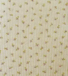 Item thumbnail for item 98da6ebf-9140-435e-a83a-673ed47a73e6