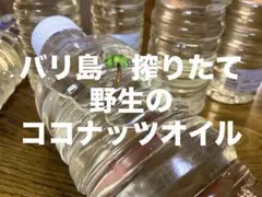 ✨️搾りたて✨️バリ島 野生のココナッツオイル 約570ml 1本のサムネイル