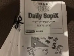 2026年最新】デイリーサピックスの人気アイテム - メルカリ