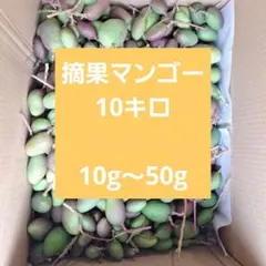 摘果マンゴー　10kg　Size 100~ 摘果マンゴー 10kg - メルカリ