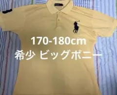 Polo by Ralph Lauren ポロシャツ イエロー 170 180