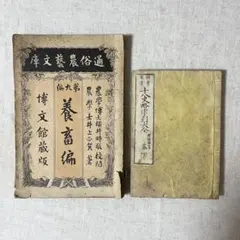 Item thumbnail for item 8a5aaaee-21ca-4ddf-a7aa-8808084f83ec