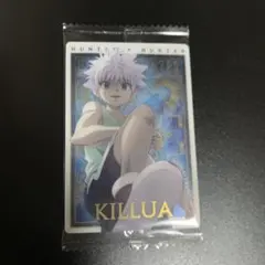 hunter×hunter イタジャガ キルア