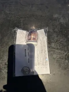 岩橋玄樹 ミニペンライト