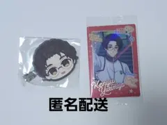 ブルーロック 雪宮剣優 ヘアピンコレクション ウエハース