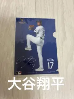 2026年最新】バンテリン 大谷翔平 マルチケースの人気アイテム - メルカリ