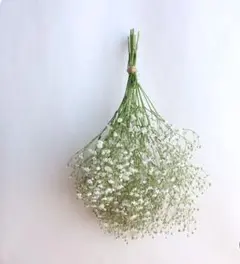 カスミソウのスワッグ