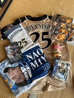 宮西尚生 グッズ