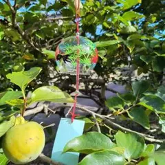風鈴ガラス製　江戸風鈴風