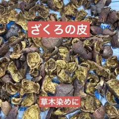 Item thumbnail for item 67a20536-b21d-47f8-b1d0-cd218fe72286