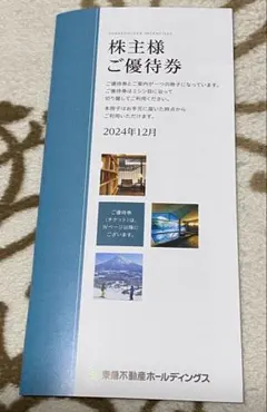東急不動産ホールディングス株主優待券　1000株