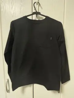 THE NORTH FACE ロンT