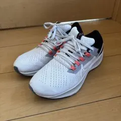 Item thumbnail for item d9135e2e-f1c0-431e-96fd-e28920981305