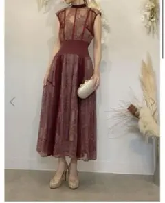 snidel スナイデル スィッチングレースドレス ワンピース