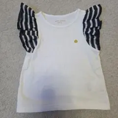 Item thumbnail for item 06c75bec-8f49-48b0-a5ad-5703245a3511