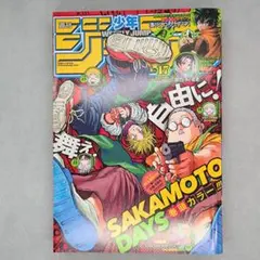 ワンピース ギア5ルフィ初登場 週刊少年ジャンプ 2022年17号 ニカ
