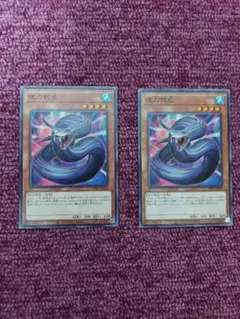 遊戯王　夜刀蛇巳　2枚　ノーマル