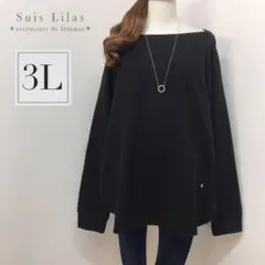 ❤︎z356☆3L☆裏微起毛 シンプル プルオーバー＊柔らか 滑らか