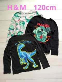 H&M 恐竜 ドラゴン ロンT 長袖カットソー 120cm 3枚セット