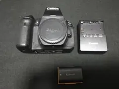 Canon EOS 1DX 初代　本体　美品　シャッター数17000回以下 Canon EOS 1DX 初代 本体 美品 シャッター数17000回以下 - メルカリ