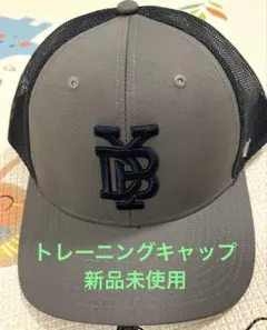 Item thumbnail for item 8057b6ad-bba7-41e7-b768-bdc2cec66f08