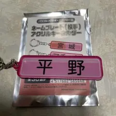 平野佳寿パワプロネームプレートキーホルダー