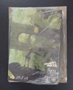 PS4 GRAVITY DAZE Collector's Edition