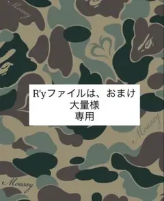 R'yファイルは、おまけ大量様　　専用