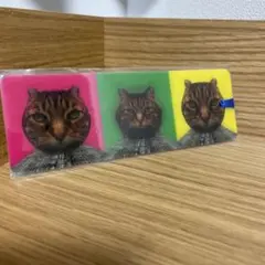 Item thumbnail for item 0788de38-8d30-42f9-bb51-8261af222f7e