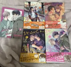 北山くんと南谷くん 漫画 1.2.3.4巻 アニメイト限定4Pリーフレット付き