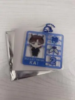 超特急 REAL? カイ ランダム プラスチックモデル風キーホルダー