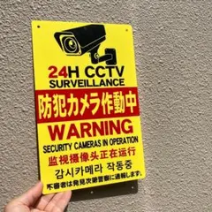 Item thumbnail for item 881c649f-2a46-4538-a000-69d970d8c86d