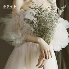 Item thumbnail for item cefa87bc-2e5d-412a-84bb-efb130954c24