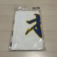 阪神タイガース 才木