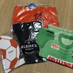 ALBIREX NIIGATA ユニフォーム 22 EITARO 応援グッズ - メルカリ